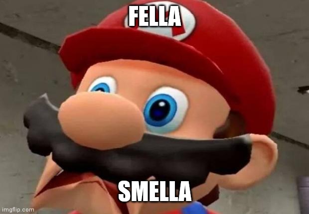 Mario WTF | FELLA SMELLA | image tagged in mario wtf | made w/ Imgflip meme maker