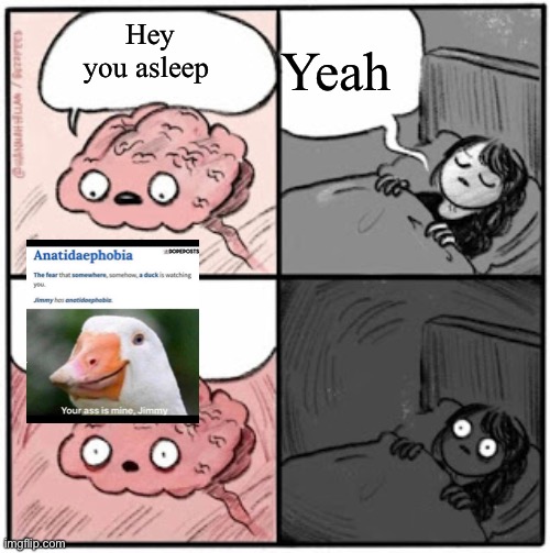 Quack | Yeah; Hey you asleep | image tagged in brain before sleep,duck | made w/ Imgflip meme maker