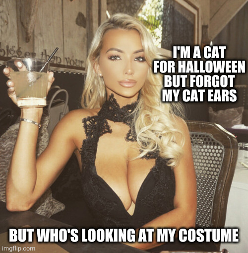 Halloween cat? | I'M A CAT FOR HALLOWEEN BUT FORGOT MY CAT EARS; BUT WHO'S LOOKING AT MY COSTUME | image tagged in drinking | made w/ Imgflip meme maker