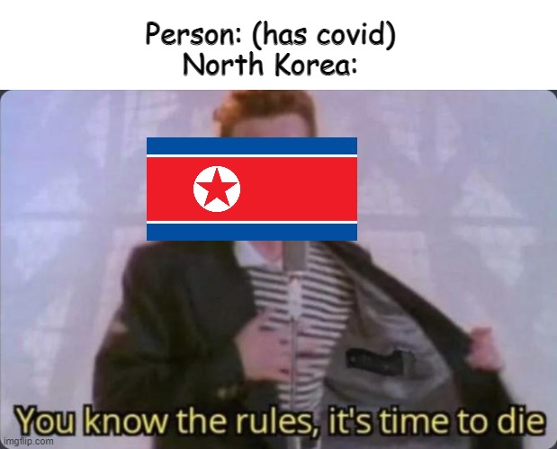Country Slander p. 3 (WARNING: DARK HUMOR) | Person: (has covid)
North Korea: | image tagged in you know the rules it's time to die | made w/ Imgflip meme maker