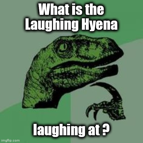 Time raptor  | What is the Laughing Hyena laughing at ? | image tagged in time raptor | made w/ Imgflip meme maker