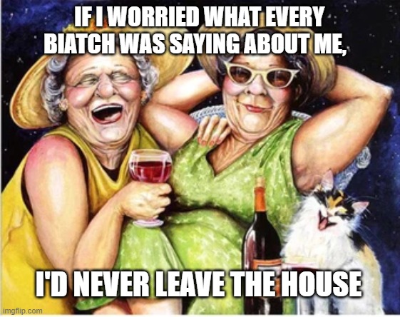 IF I WORRIED WHAT EVERY BIATCH WAS SAYING ABOUT ME, I'D NEVER LEAVE THE HOUSE | image tagged in gossip | made w/ Imgflip meme maker