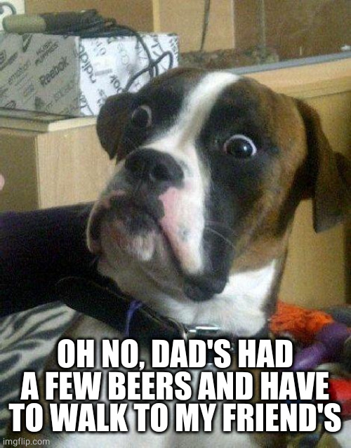 Surprised Dog | OH NO, DAD'S HAD A FEW BEERS AND HAVE TO WALK TO MY FRIEND'S | image tagged in surprised dog | made w/ Imgflip meme maker