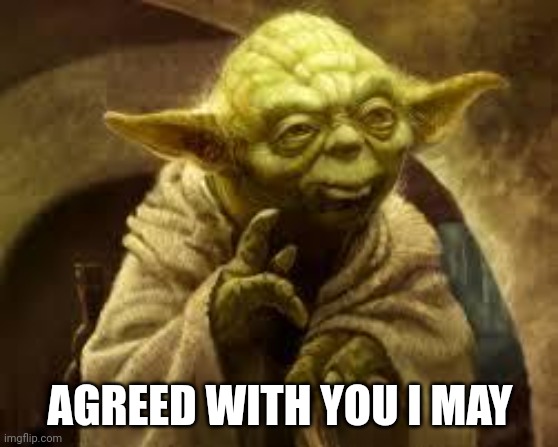 yoda | AGREED WITH YOU I MAY | image tagged in yoda | made w/ Imgflip meme maker