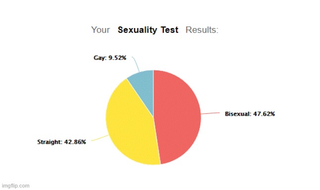 welp its official... i'm bi. i always thought i was, but this test confirmed it i guess | made w/ Imgflip meme maker