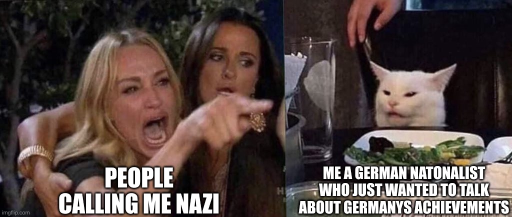idiots yelling at me | PEOPLE CALLING ME NAZI; ME A GERMAN NATONALIST WHO JUST WANTED TO TALK ABOUT GERMANYS ACHIEVEMENTS | image tagged in woman yelling at cat | made w/ Imgflip meme maker