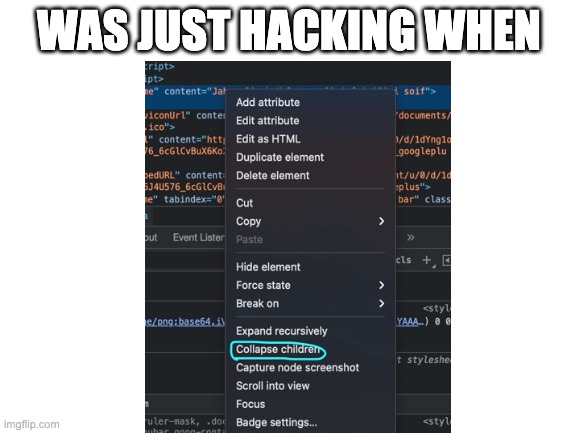 ???????????? | WAS JUST HACKING WHEN | image tagged in why | made w/ Imgflip meme maker