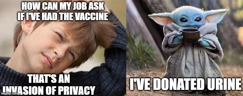 Smokin' that Pot | HOW CAN MY JOB ASK IF I'VE HAD THE VACCINE; THAT'S AN INVASION OF PRIVACY; I'VE DONATED URINE | image tagged in privacy,baby yoda,tea | made w/ Imgflip meme maker