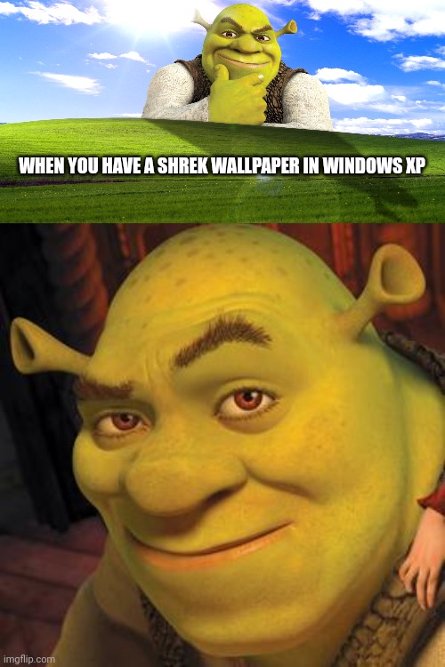 Meme, funny, shrek, HD phone wallpaper