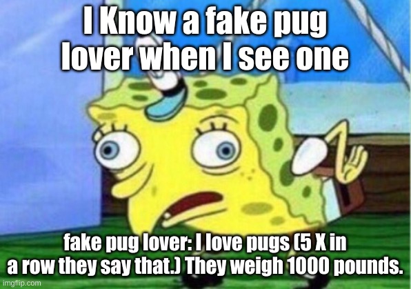 Mocking Spongebob | I Know a fake pug lover when I see one; fake pug lover: I love pugs (5 X in a row they say that.) They weigh 1000 pounds. | image tagged in memes,mocking spongebob | made w/ Imgflip meme maker