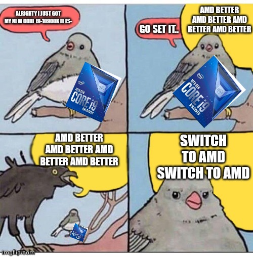 Those annoying AMD fanboys be like | AMD BETTER AMD BETTER AMD BETTER AMD BETTER; ALRIGHTY I JUST GOT MY NEW CORE I9-10900K LETS-; GO SET IT.. AMD BETTER AMD BETTER AMD BETTER AMD BETTER; SWITCH TO AMD SWITCH TO AMD | image tagged in annoyed bird | made w/ Imgflip meme maker