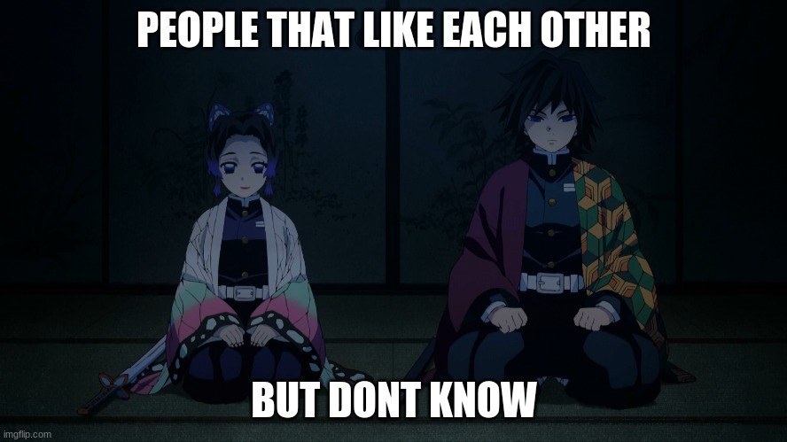 Demon Slayer | PEOPLE THAT LIKE EACH OTHER; BUT DONT KNOW | image tagged in demon slayer | made w/ Imgflip meme maker