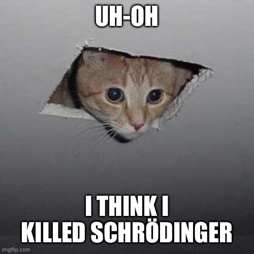 Schrodinger’s Cat LOL | UH-OH; I THINK I KILLED SCHRÖDINGER | image tagged in memes,ceiling cat | made w/ Imgflip meme maker