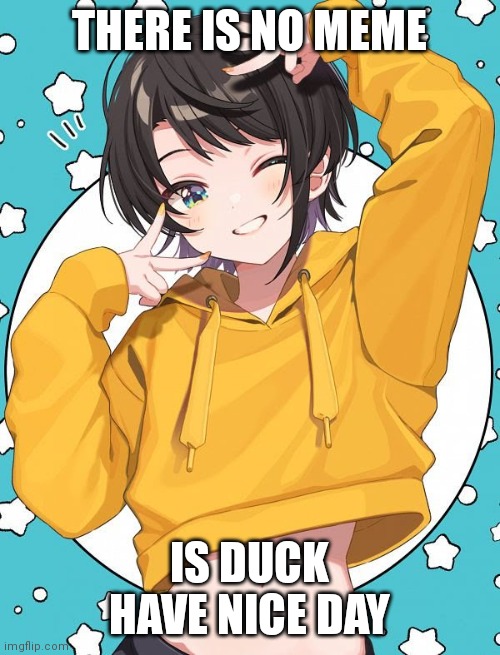Duck | THERE IS NO MEME; IS DUCK HAVE NICE DAY | image tagged in duck | made w/ Imgflip meme maker