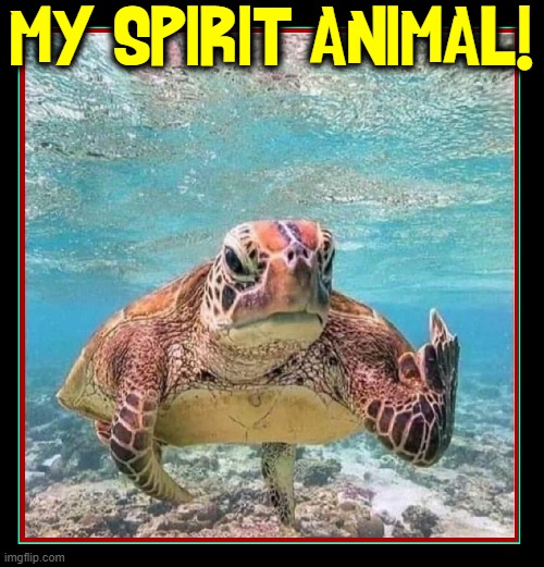 Life as a Meme-Maker |  MY SPIRIT ANIMAL! | image tagged in vince vance,turtles,memes,spirit animal,i like turtles,turtle meme | made w/ Imgflip meme maker