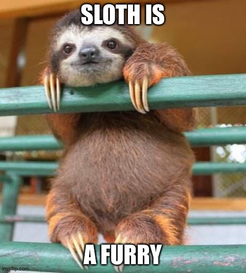 cute sloth | SLOTH IS; A FURRY | image tagged in cute sloth | made w/ Imgflip meme maker