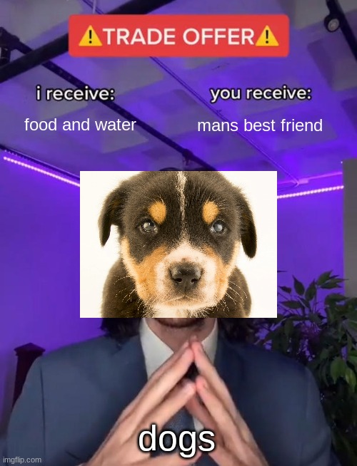 A dog is all needed to make life better | food and water; mans best friend; dogs | image tagged in trade offer | made w/ Imgflip meme maker