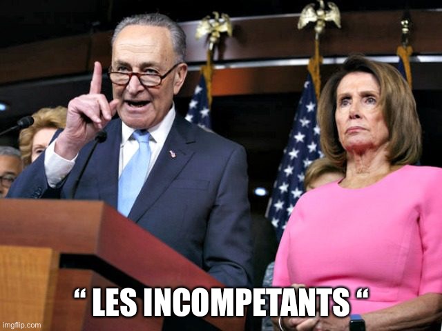 pelosi schumer | “ LES INCOMPETANTS “ | image tagged in pelosi schumer | made w/ Imgflip meme maker