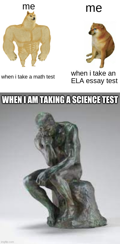 test school | me; me; when i take a math test; when i take an 
ELA essay test; WHEN I AM TAKING A SCIENCE TEST | image tagged in memes,buff doge vs cheems | made w/ Imgflip meme maker