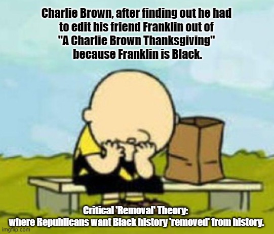 A 'White' Thanksgiving | Charlie Brown, after finding out he had 
to edit his friend Franklin out of 
"A Charlie Brown Thanksgiving" 
because Franklin is Black. Critical 'Removal' Theory: 
where Republicans want Black history 'removed' from history. | image tagged in charlie brown,thanksgiving,critical race theory,republicans,hate | made w/ Imgflip meme maker