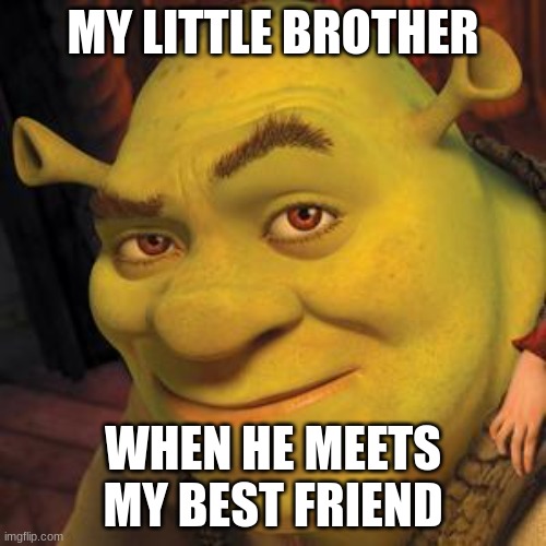 My little bro be like | MY LITTLE BROTHER; WHEN HE MEETS MY BEST FRIEND | image tagged in shrek sexy face | made w/ Imgflip meme maker
