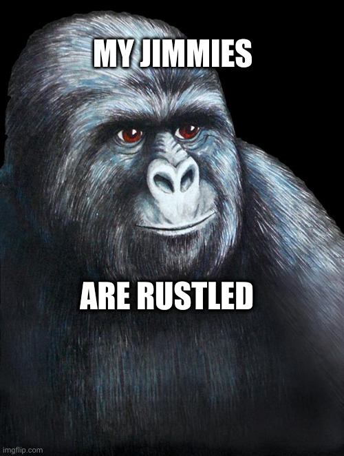 jimmies rustled | MY JIMMIES; ARE RUSTLED | image tagged in jimmies rustled | made w/ Imgflip meme maker