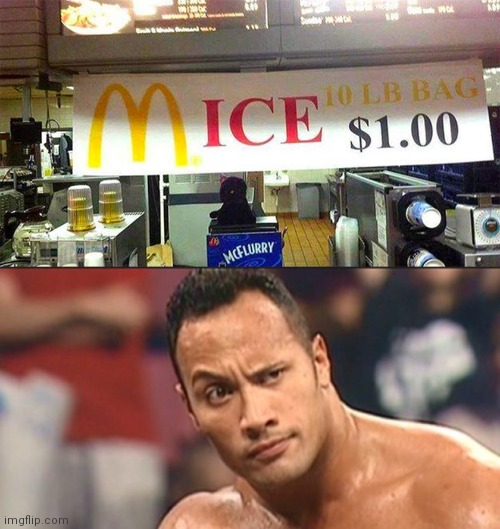 Yum, mice! My favourite! | image tagged in the rock eyebrow,hmmm,hmmmm,mice,delicious | made w/ Imgflip meme maker