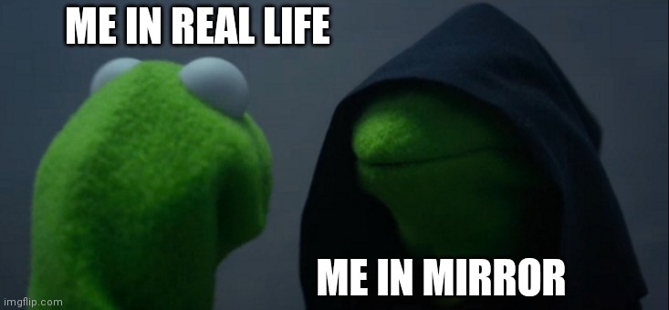 Evil Kermit | ME IN REAL LIFE; ME IN MIRROR | image tagged in memes,evil kermit | made w/ Imgflip meme maker