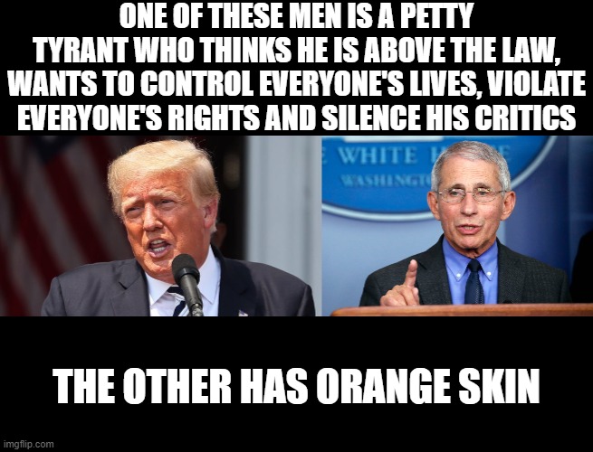 Trump vs Fauci | ONE OF THESE MEN IS A PETTY TYRANT WHO THINKS HE IS ABOVE THE LAW, WANTS TO CONTROL EVERYONE'S LIVES, VIOLATE EVERYONE'S RIGHTS AND SILENCE HIS CRITICS; THE OTHER HAS ORANGE SKIN | image tagged in trump,fauci,evil,tyranny,government corruption | made w/ Imgflip meme maker