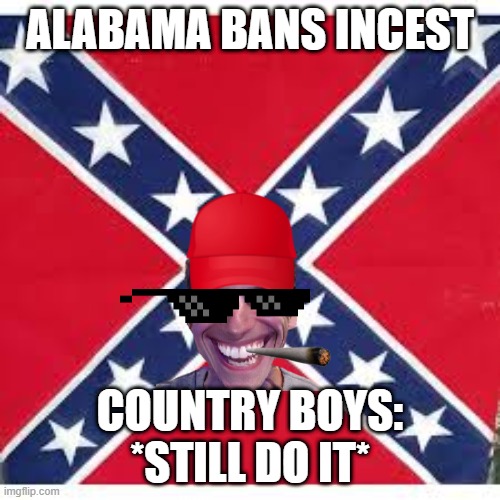 Sweet Home Alabama | ALABAMA BANS INCEST; COUNTRY BOYS: *STILL DO IT* | image tagged in sweet home alabama | made w/ Imgflip meme maker