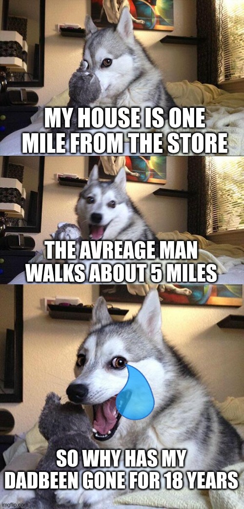 Bad Pun Dog | MY HOUSE IS ONE MILE FROM THE STORE; THE AVREAGE MAN WALKS ABOUT 5 MILES; SO WHY HAS MY DADBEEN GONE FOR 18 YEARS | image tagged in memes,bad pun dog | made w/ Imgflip meme maker