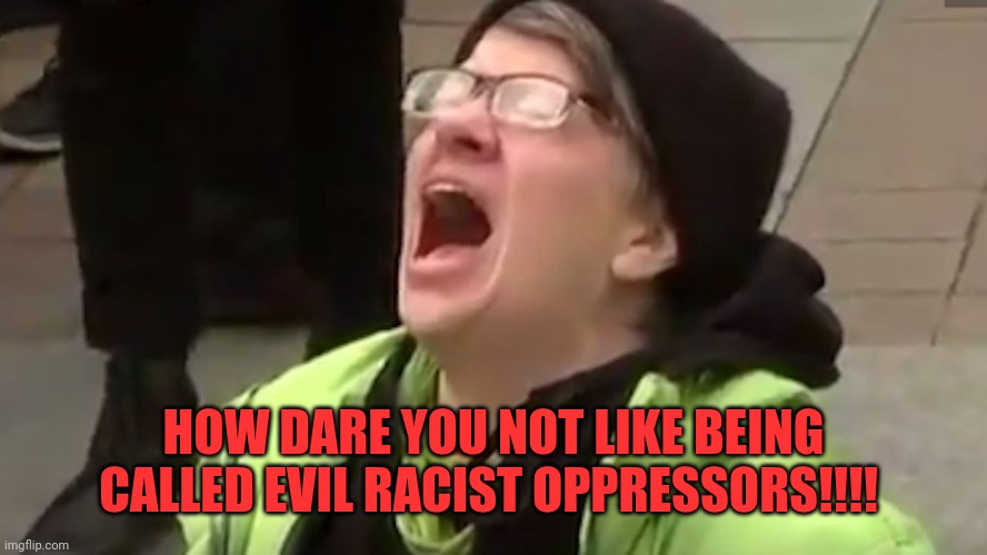 Screaming Liberal  | HOW DARE YOU NOT LIKE BEING CALLED EVIL RACIST OPPRESSORS!!!! | image tagged in screaming liberal | made w/ Imgflip meme maker