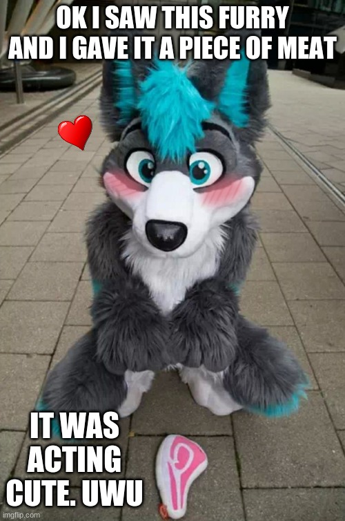 A cute furry UwU | OK I SAW THIS FURRY AND I GAVE IT A PIECE OF MEAT; IT WAS ACTING CUTE. UWU | image tagged in furry,cute,uwu,furries | made w/ Imgflip meme maker