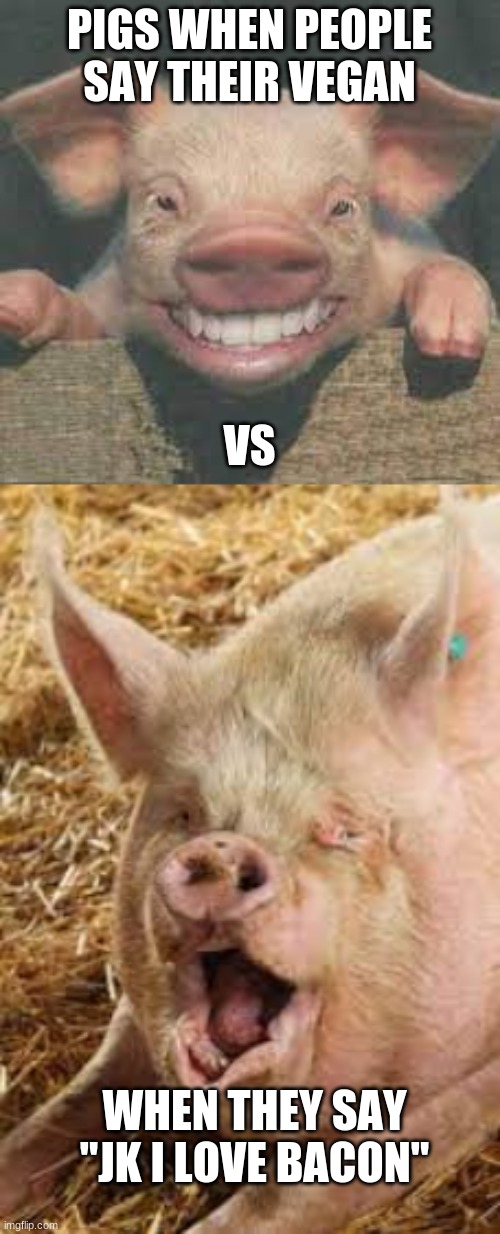 piglet | PIGS WHEN PEOPLE SAY THEIR VEGAN; VS; WHEN THEY SAY "JK I LOVE BACON" | image tagged in pig,vegan,bacon | made w/ Imgflip meme maker