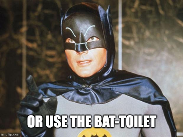 Batman-Adam West | OR USE THE BAT-TOILET | image tagged in batman-adam west | made w/ Imgflip meme maker
