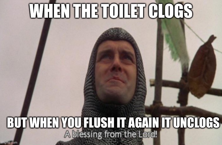 *becomes religous for 4.2 seconds* | WHEN THE TOILET CLOGS; BUT WHEN YOU FLUSH IT AGAIN IT UNCLOGS | image tagged in a blessing from the lord,memes,meme,toilet,toilet humor,yay | made w/ Imgflip meme maker