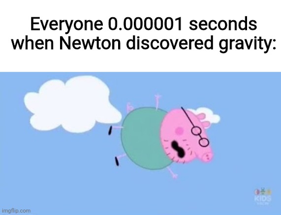 Gravity | Everyone 0.000001 seconds when Newton discovered gravity: | image tagged in before and after,imgflip,one does not simply,anakin liar | made w/ Imgflip meme maker