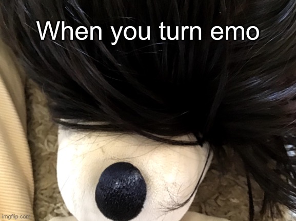 Snoopy turned emo | When you turn emo | image tagged in memes | made w/ Imgflip meme maker