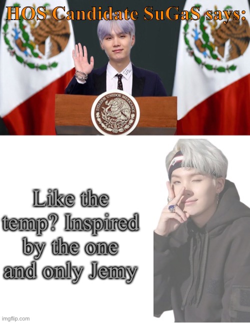 You like? | Like the temp? Inspired by the one and only Jemy | image tagged in sugas hos temp | made w/ Imgflip meme maker