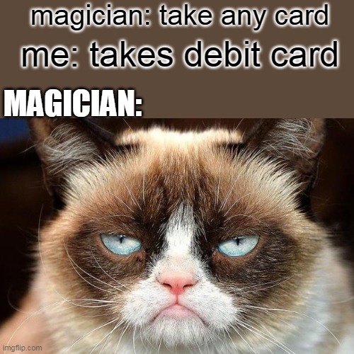 but he said any card | magician: take any card; me: takes debit card; MAGICIAN: | image tagged in memes,grumpy cat not amused,grumpy cat | made w/ Imgflip meme maker