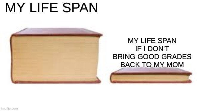 who can relate TvT | MY LIFE SPAN; MY LIFE SPAN IF I DON'T BRING GOOD GRADES BACK TO MY MOM | image tagged in big book small book | made w/ Imgflip meme maker