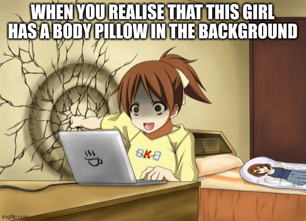 When an anime leaves you on a cliffhanger | WHEN YOU REALISE THAT THIS GIRL HAS A BODY PILLOW IN THE BACKGROUND | image tagged in when an anime leaves you on a cliffhanger | made w/ Imgflip meme maker