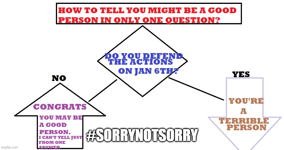 One Answer Flow Chart | #SORRYNOTSORRY | image tagged in one answer flow chart | made w/ Imgflip meme maker