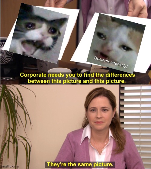 They Seem Alike | image tagged in memes,they're the same picture | made w/ Imgflip meme maker