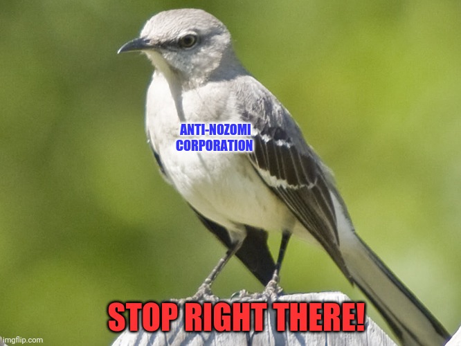 MOCKINGBIRD | STOP RIGHT THERE! ANTI-NOZOMI CORPORATION | image tagged in mockingbird | made w/ Imgflip meme maker