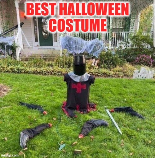 Best Halloween Costume | BEST HALLOWEEN
COSTUME | image tagged in halloween,costume,monty python | made w/ Imgflip meme maker