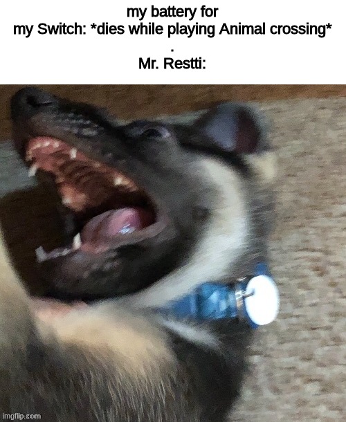 angy doggo | my battery for my Switch: *dies while playing Animal crossing*
.
Mr. Restti: | image tagged in angy doggo | made w/ Imgflip meme maker