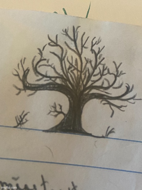 Tiny tree sketch I made in class yesterday | image tagged in tiny,tree,drawing | made w/ Imgflip meme maker