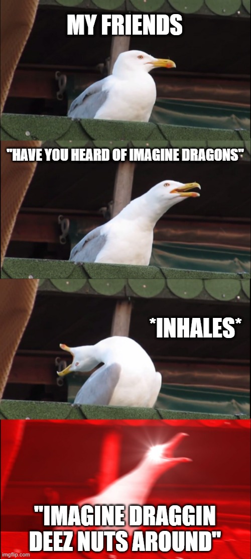Inhaling Seagull | MY FRIENDS; "HAVE YOU HEARD OF IMAGINE DRAGONS"; *INHALES*; "IMAGINE DRAGGIN DEEZ NUTS AROUND" | image tagged in memes,inhaling seagull | made w/ Imgflip meme maker