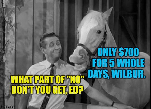 Mr Ed Speaks | ONLY $700 FOR 5 WHOLE DAYS, WILBUR. WHAT PART OF "NO" DON'T YOU GET, ED? | image tagged in mr ed speaks | made w/ Imgflip meme maker